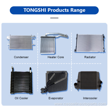 Hot Selling Auto Parts Radiator for VW POLO